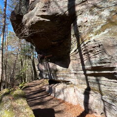 23-02-27 11-22-19 4390